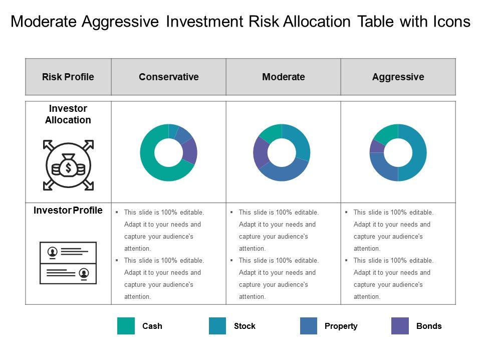 Moderate aggressive investment risk allocation table with icons
