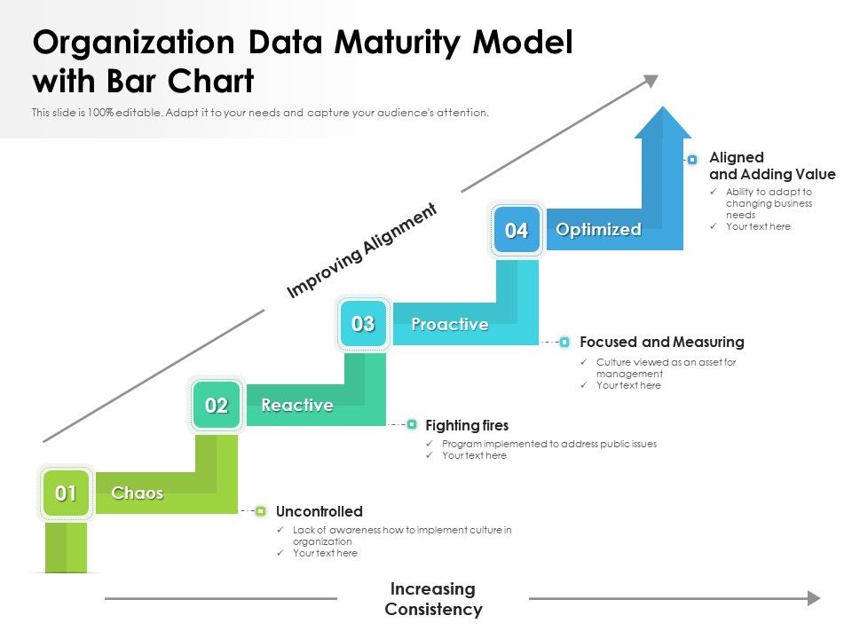 Organization cultural alignment maturity model