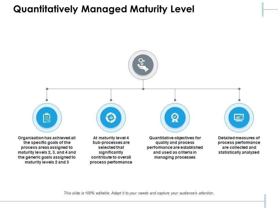 Quantitatively managed maturity level