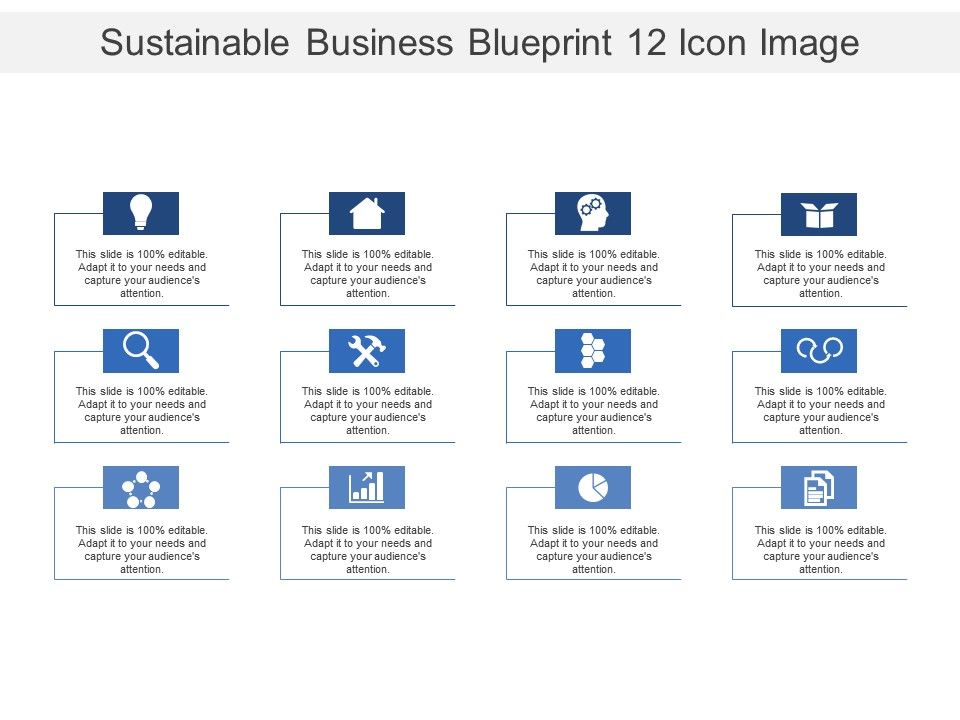 Sustainable business blueprint 12 icon image