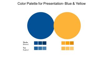 Color palette for presentation blue and yellow