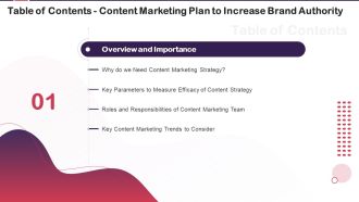 Content Marketing Plan To Increase Brand Authority For Table Of Contents Ppt Icon Templates