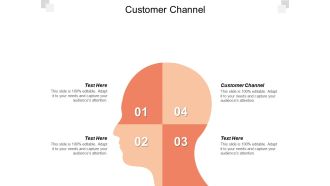 Customer channel ppt powerpoint presentation file icons cpb