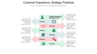 Customer experience strategy practices ppt powerpoint presentation icon cpb