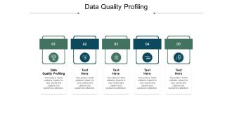 Data quality profiling ppt powerpoint presentation icon shapes cpb