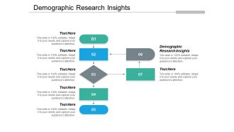 Demographic research insights ppt powerpoint presentation icon file formats cpb