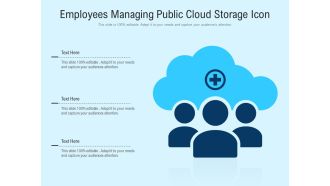 Employees managing public cloud storage icon