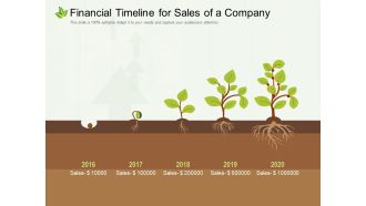 Financial timeline for sales of a company