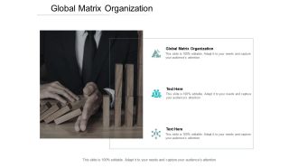 Global matrix organization ppt powerpoint presentation icon cpb