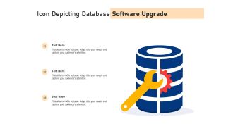Icon depicting database software upgrade