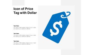 Icon of price tag with dollar