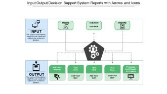 Input output decision support system reports with arrows and icons