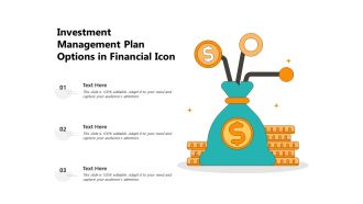 Investment management plan options in financial icon