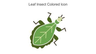 Leaf Insect Colored Icon In Powerpoint Pptx Png And Editable Eps Format