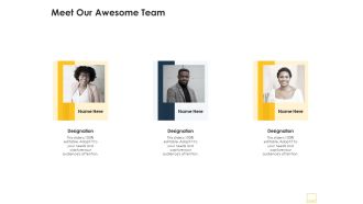 Meet our awesome team online video hosting platform ppt icon graphics