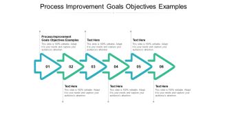 Process improvement goals objectives examples ppt powerpoint presentation icon show cpb