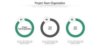 Project team organization ppt powerpoint presentation icon slide cpb