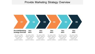 Provide marketing strategy overview ppt powerpoint presentation icon background designs cpb