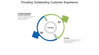 Providing outstanding customer experience ppt powerpoint presentation icon maker cpb