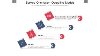 Service orientation operating models ppt powerpoint presentation visual aids icon cpb
