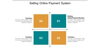 Setting online payment system ppt powerpoint presentation icon show cpb