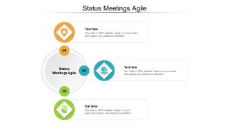 Status meetings agile ppt powerpoint presentation outline icons cpb