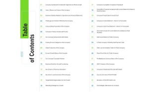 Table of contents raise funded debt banking institutions ppt icon graphics pictures