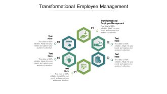 Transformational employee management ppt powerpoint presentation icon files cpb