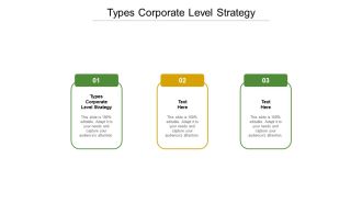 Types corporate level strategy ppt powerpoint presentation icon topics cpb